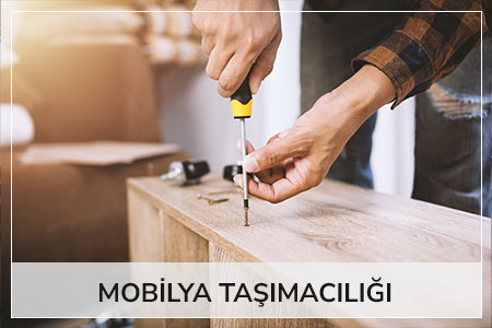 Mobilya Taşımaıclığı